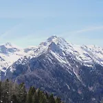 Accogliente 公寓 福波洛